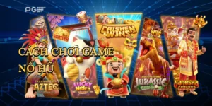 Đá Gà Trực Tiếp Thomo – Cá Cược Kịch Tính Tại V7BET