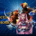 Đá gà cựa dao Thomo