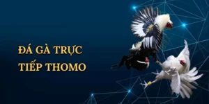 Cách Chơi Game Nổ Hũ – Săn Jackpot Cùng RED88