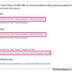 Flash Player content debugger