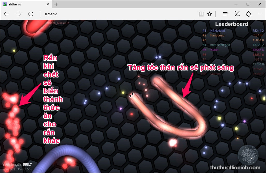 Hướng Dẫn Chơi Game Rắn Săn Mồi Slither.io Đầy Đủ Nhất