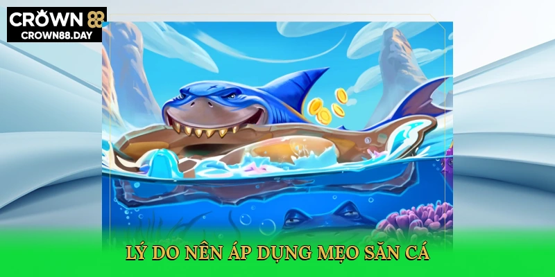 ly-do-nen-ap-dung-meo-san-ca-3