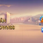 meo-san-ca-crown88-1