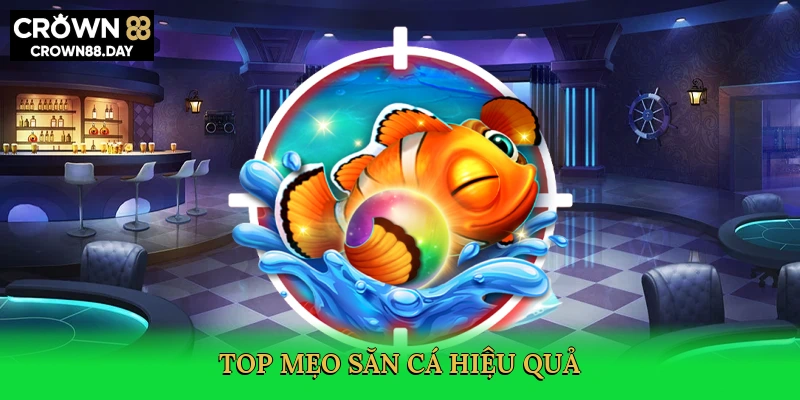 top-meo-san-ca-hieu-qua-4