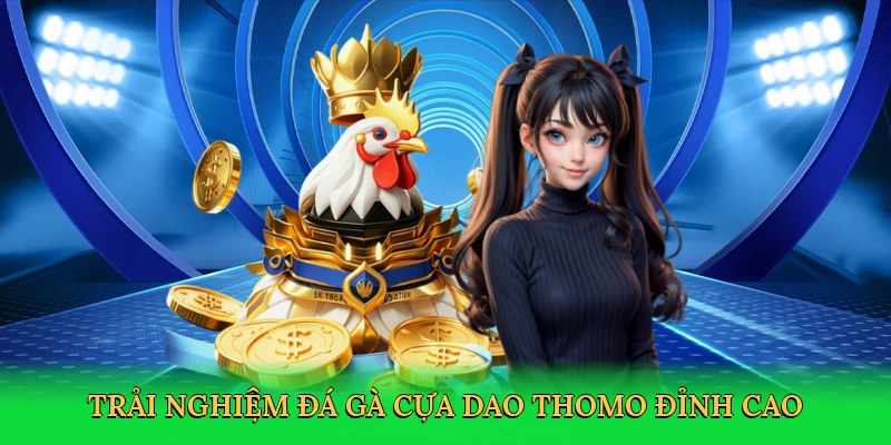 Đá Gà Cựa Dao Thomo K8CC – Trải Nghiệm Cá Cược Từ Campuchia