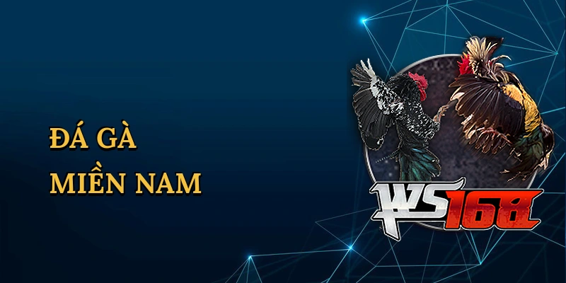 Đá gà miền nam