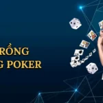 Sảnh Rồng Trong Poker: Huyền Thoại Bài Bạc Tại Thabet