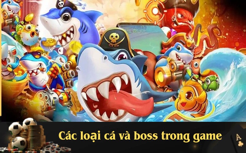 Các loại cá và boss trong game
