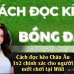 Cách đọc kèo Châu Âu 1x2 chính xác cho người mới chơi tại W88