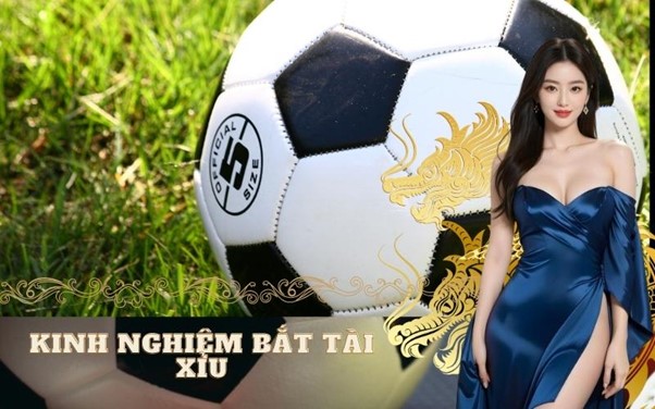 Kinh nghiệm bắt Tài Xỉu