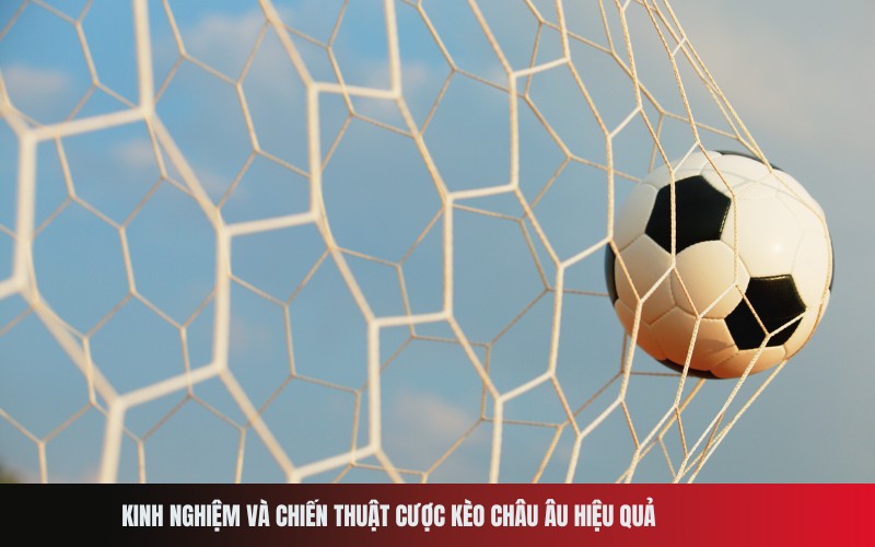Kinh nghiệm và chiến thuật cược kèo Châu Âu hiệu quả