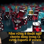 Nắm vững 8 thuật ngữ chuyên dùng trong cá cược Esports ở vvvwin