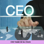 CEO Ysb66 Sở An Chinh