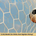 Cá Độ iBet68 Cần Nhiều Kinh Nghiệm Không