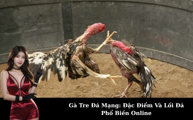Gà Tre Đá Mạng: Đặc Điểm Và Lối Đá Phổ Biến Online