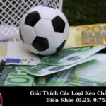 Giải Thích Các Loại Kèo Châu Á Phổ Biến Khác (0.25, 0.75...)