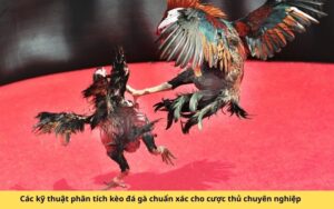 Download Miga Town : My Apartment MOD