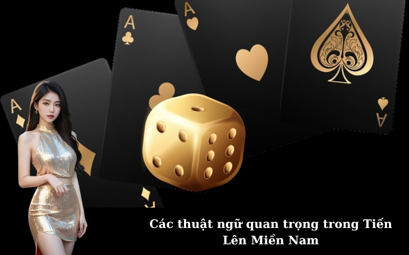 Các thuật ngữ quan trọng trong Tiến Lên Miền Nam